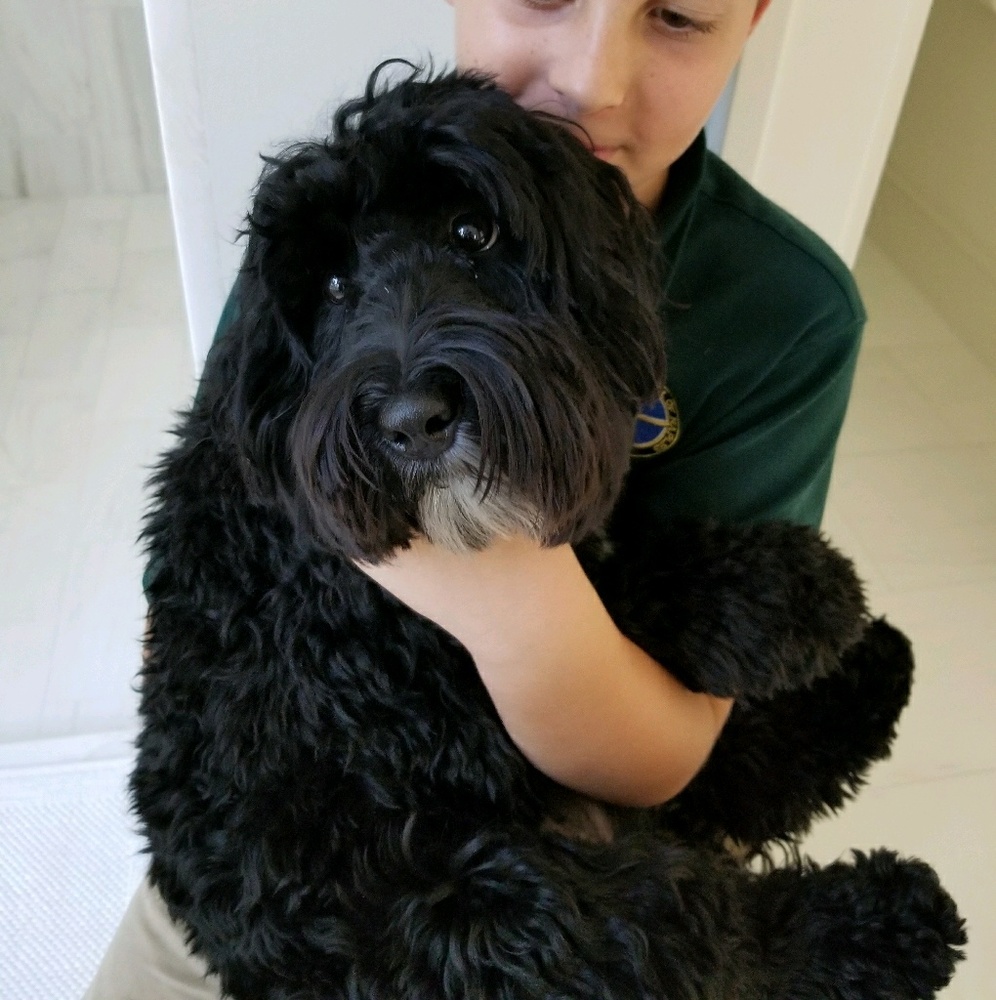 Meet your Posher, Cortney